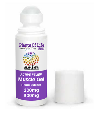 Plants Of Life - ACTIVE RELIEF MUSCLE GEL - Roll On
