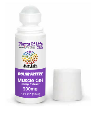 Plants Of Life -  MUSCLE GEL - Polar Freeze